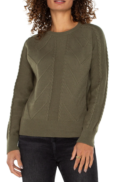 Long Sleeve Crew Neck Raglan Sweater