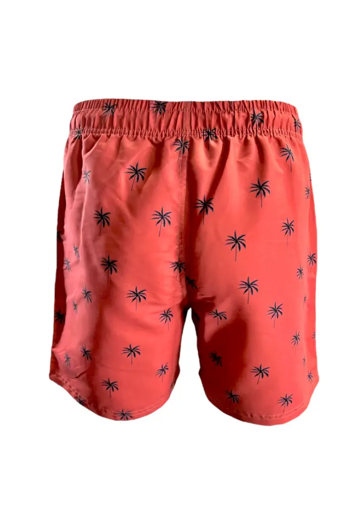 Men's Standard Sizing Swim Shorts