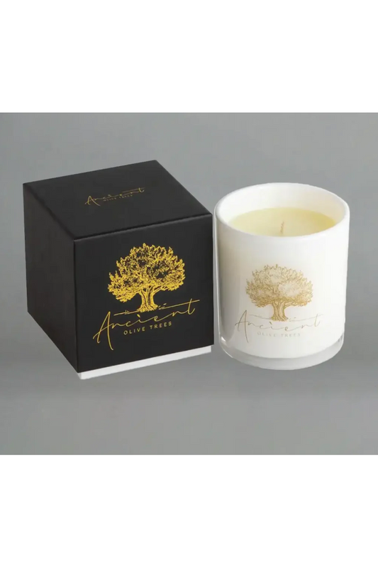 REMINISCE CANDLE 13.5 OZ