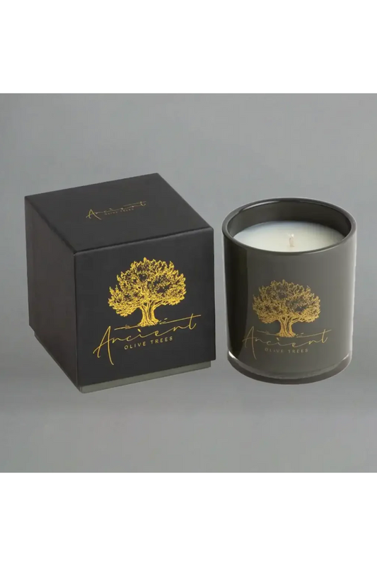 CASHMERE CANDLE 13.5OZ
