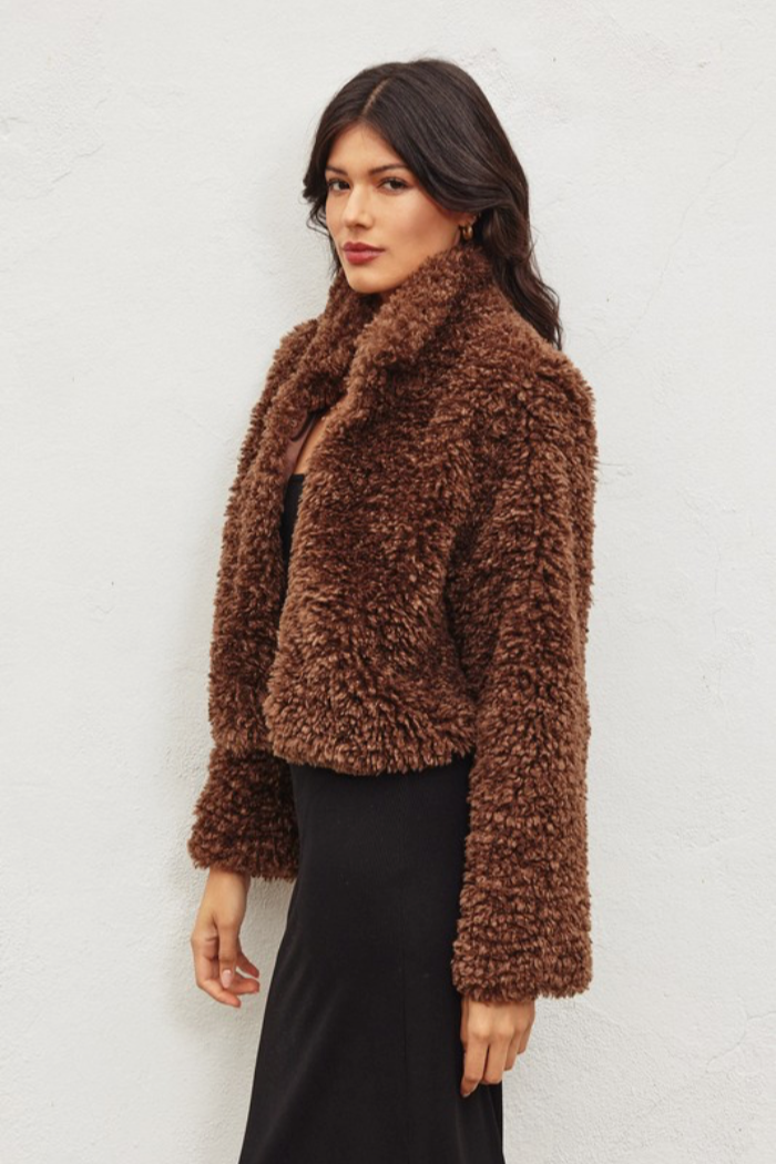Faux Fur Crop Jacket
