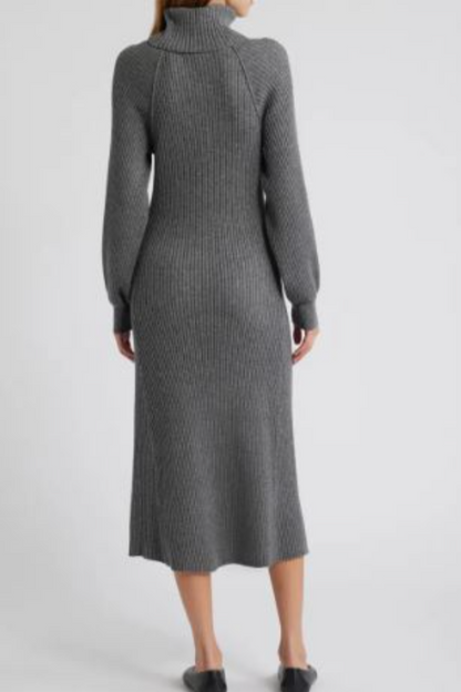 Carrie Turtleneck Dress
