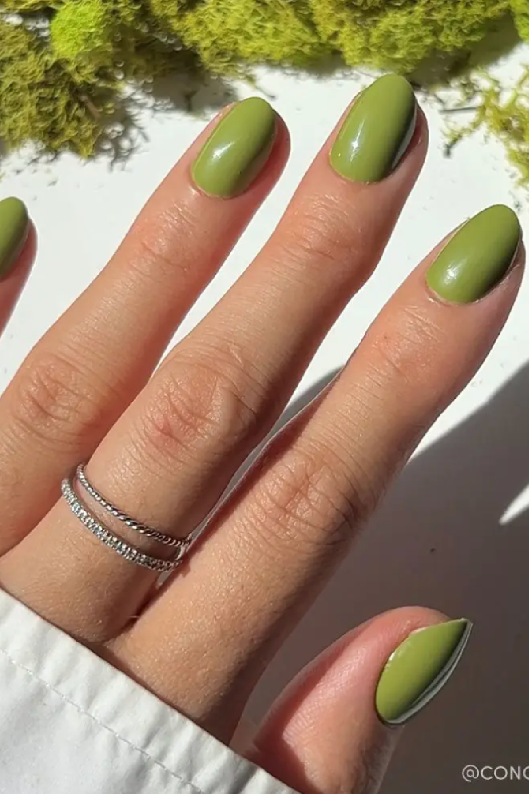 Moss Green Press-On Nails | Fall Solids | Short Oval