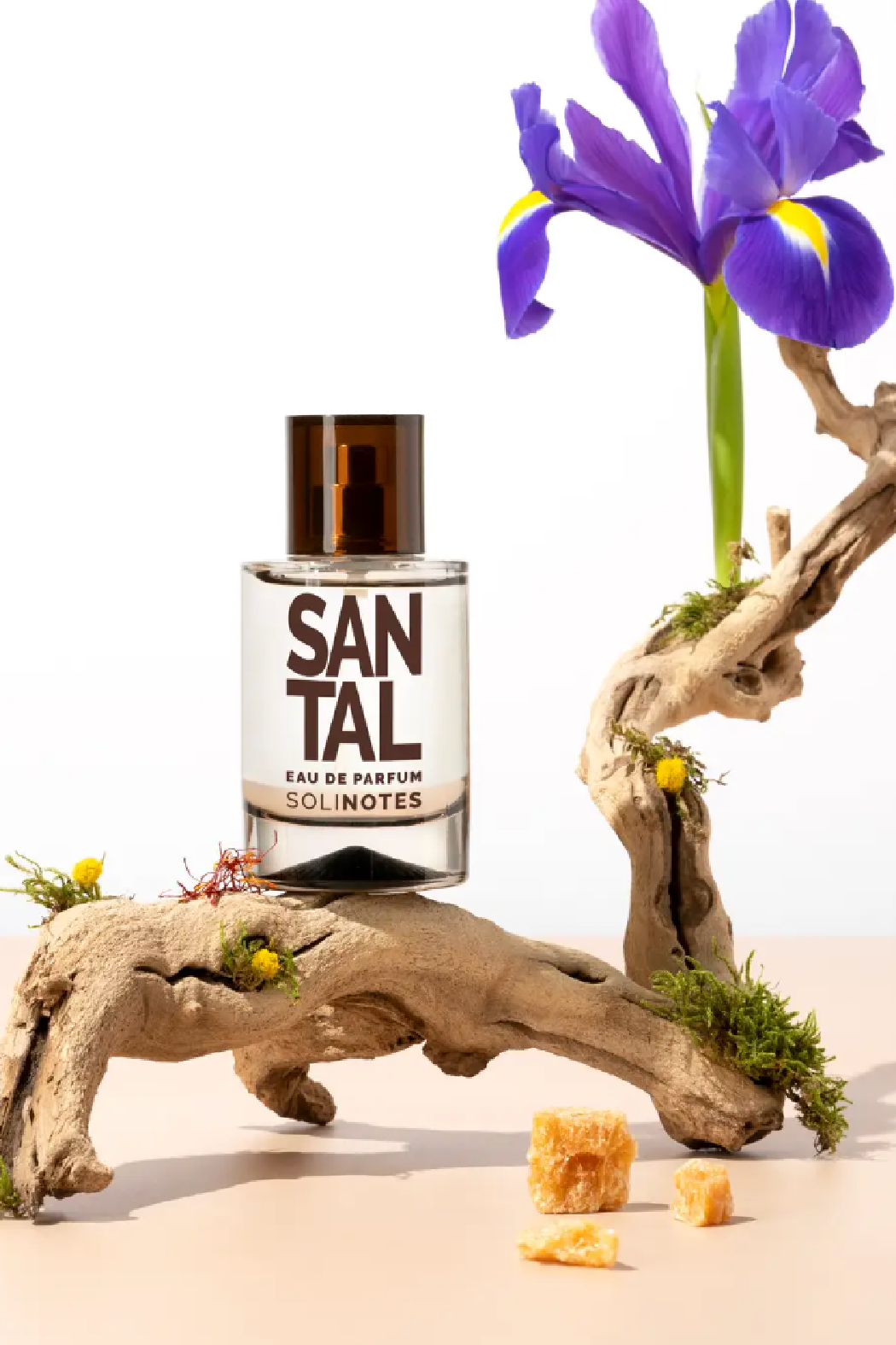 Santal Wood Eau de Parfum