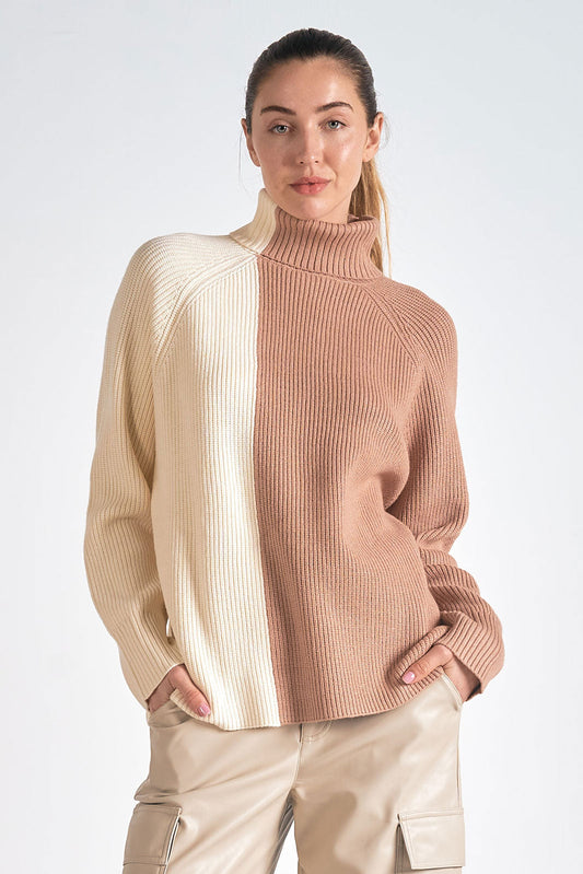 Colorblock Turtleneck