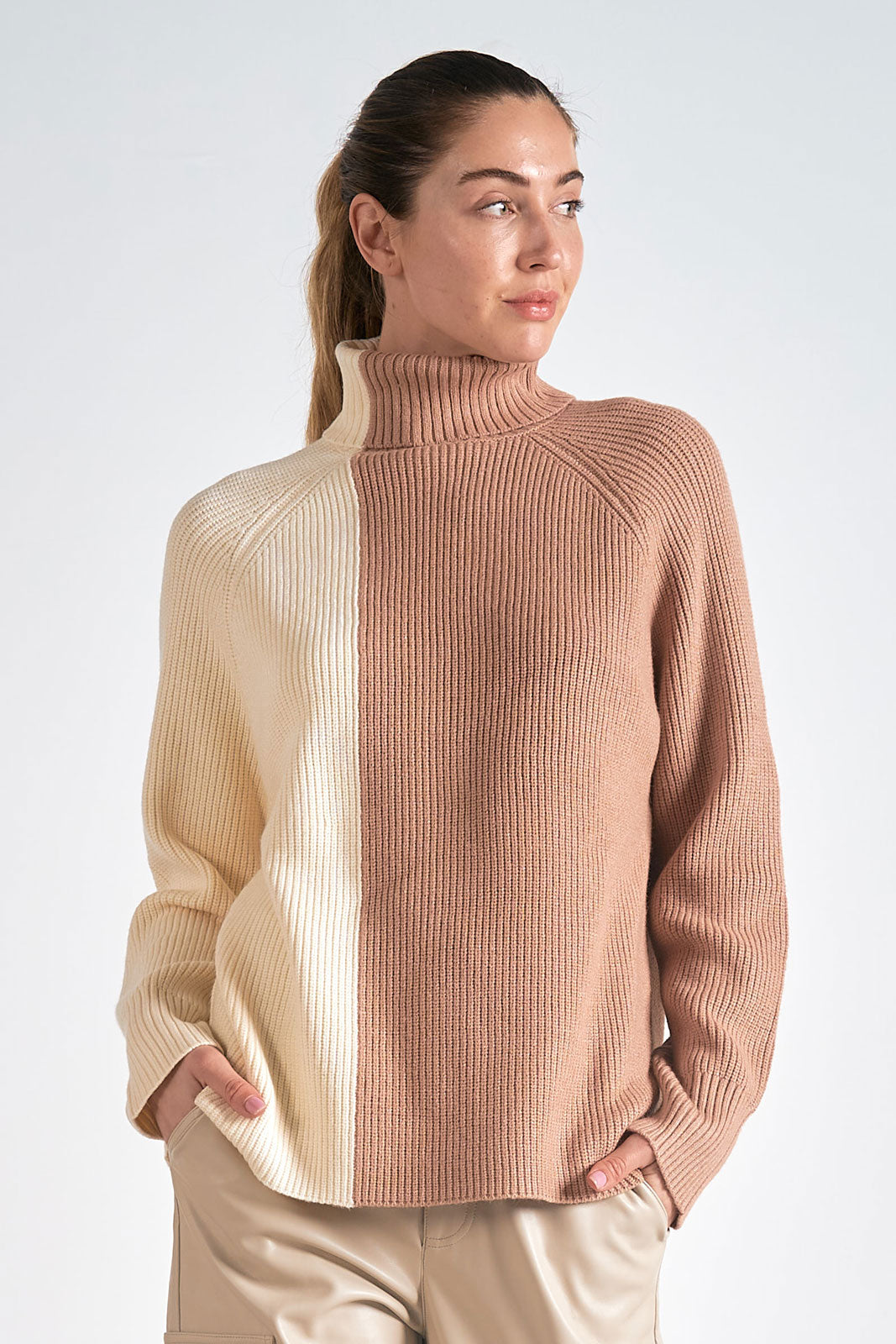 Colorblock Turtleneck