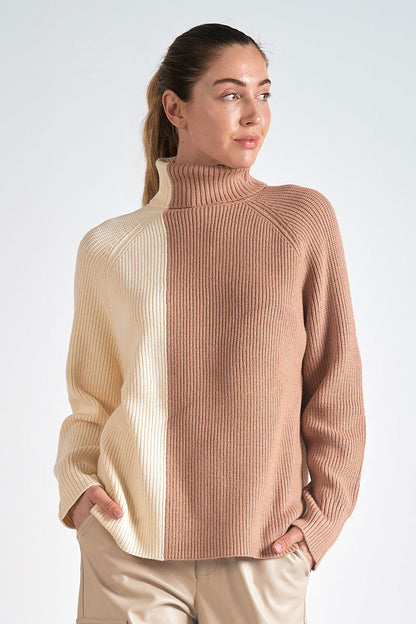 Colorblock Turtleneck