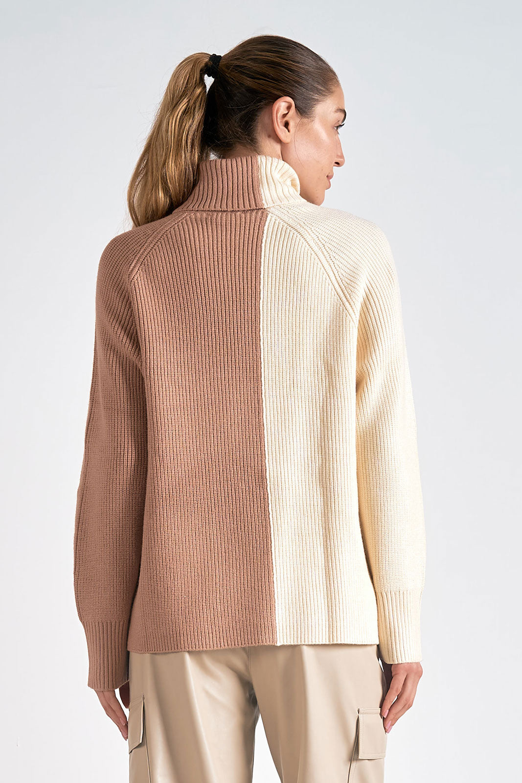 Colorblock Turtleneck