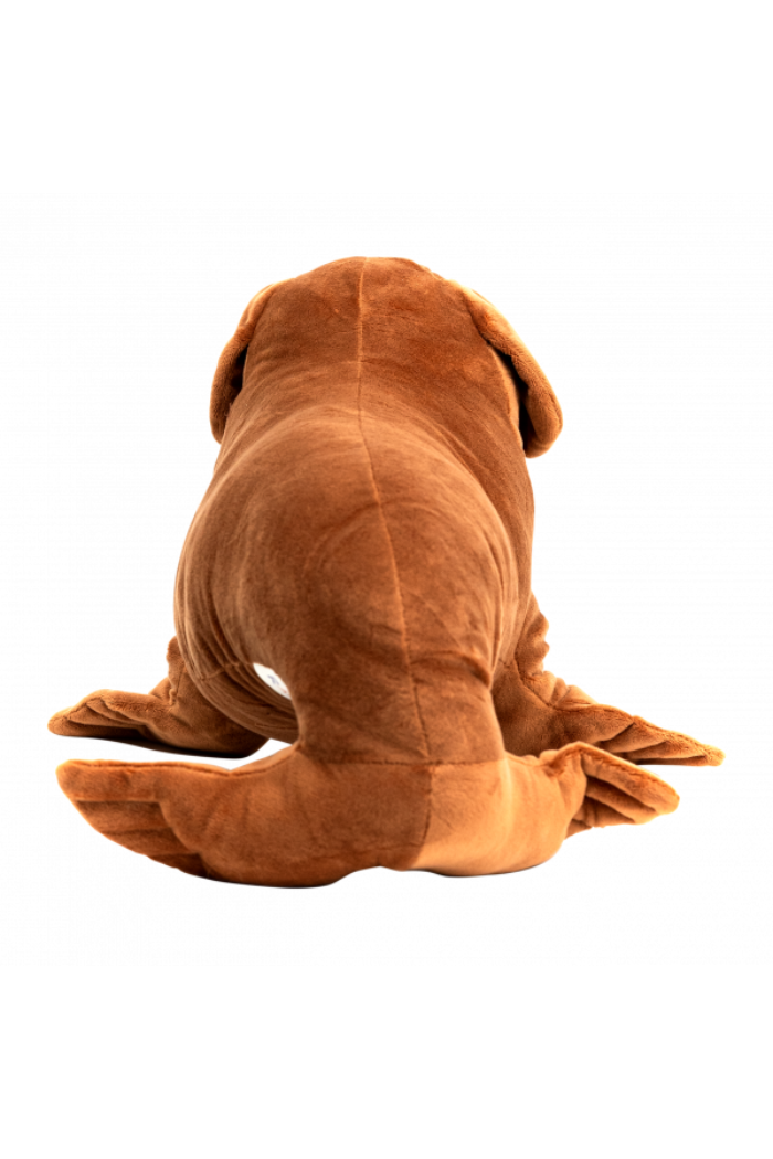 Randimlas Sea-dog Plush Toy