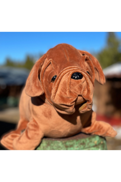 Randimlas Sea-dog Plush Toy