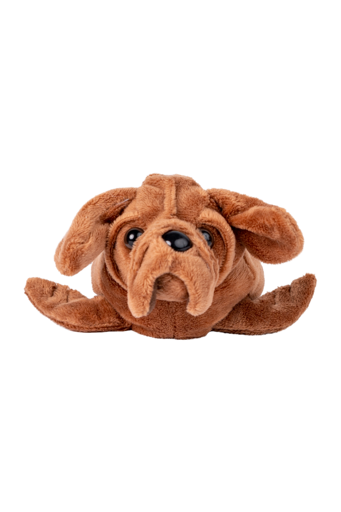 Randimals Sea-Dawg  Floppy Mini  Stuffed Toy