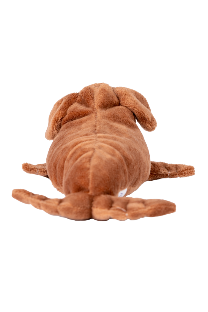 Randimals Sea-Dawg  Floppy Mini  Stuffed Toy