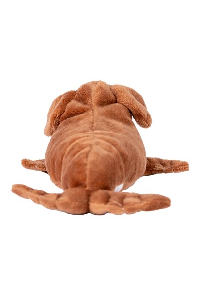 Randimals Sea-Dawg  Floppy Mini  Stuffed Toy