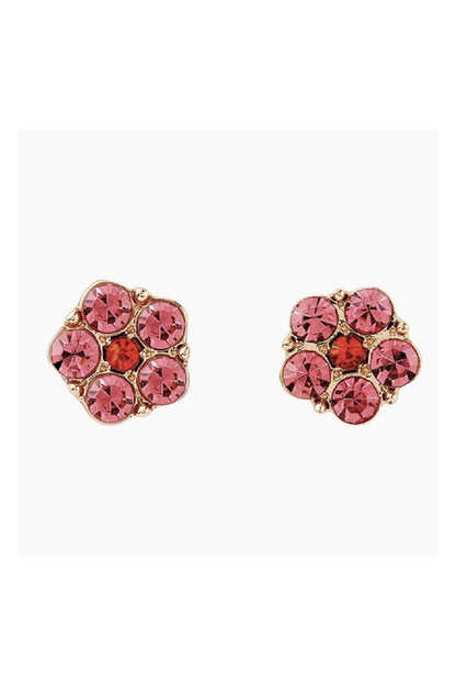 Treasure Box Earrings
