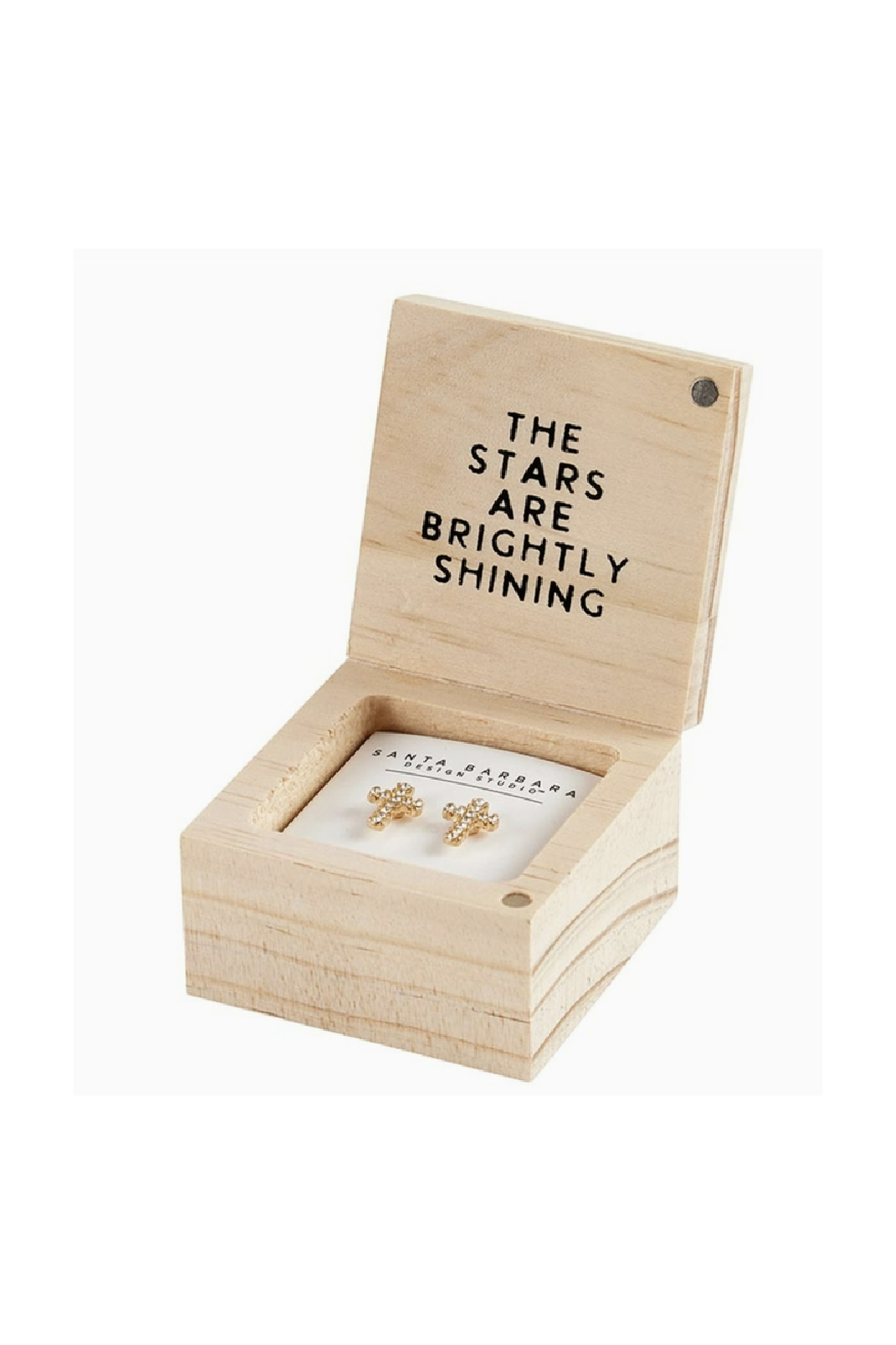 Treasure Box Earrings