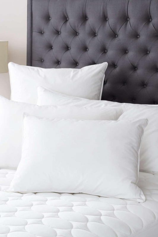 Mantra Down Alternative Pillow Insert - Standard ( 20" x 26")
