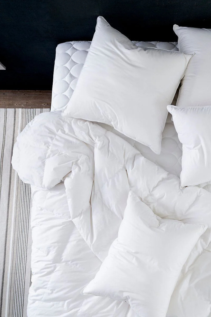 Mantra Down Alternative Pillow Insert - Standard ( 20" x 26")