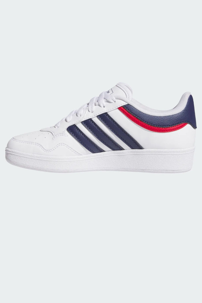 HOOPS 4.0 J