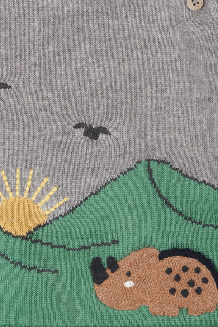 Dinosaur Jacquard Knit Raglan Baby Sweater