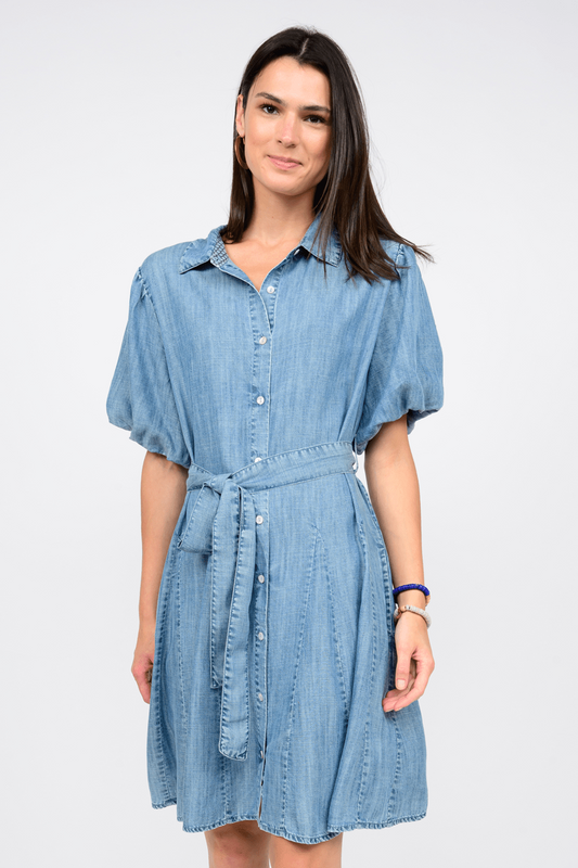Denim Godet Dress