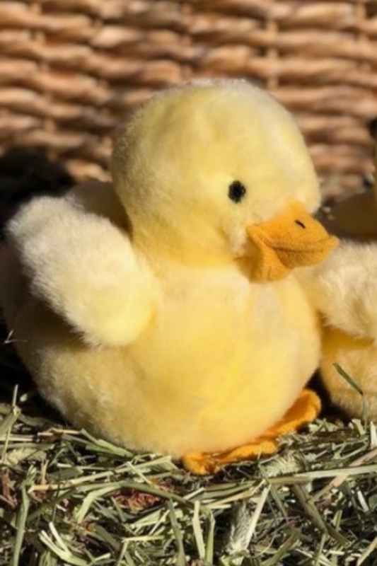 Mini Yellow Plush Chick Toy
