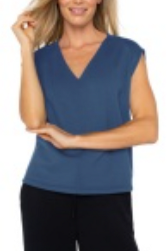 Dolman Sleeve V Neck Top