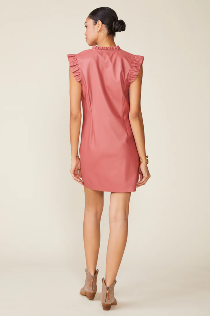 Jett Vegan Leather Dress