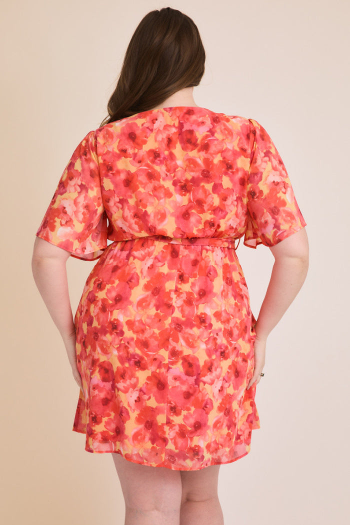 Lorna Dress Curvy