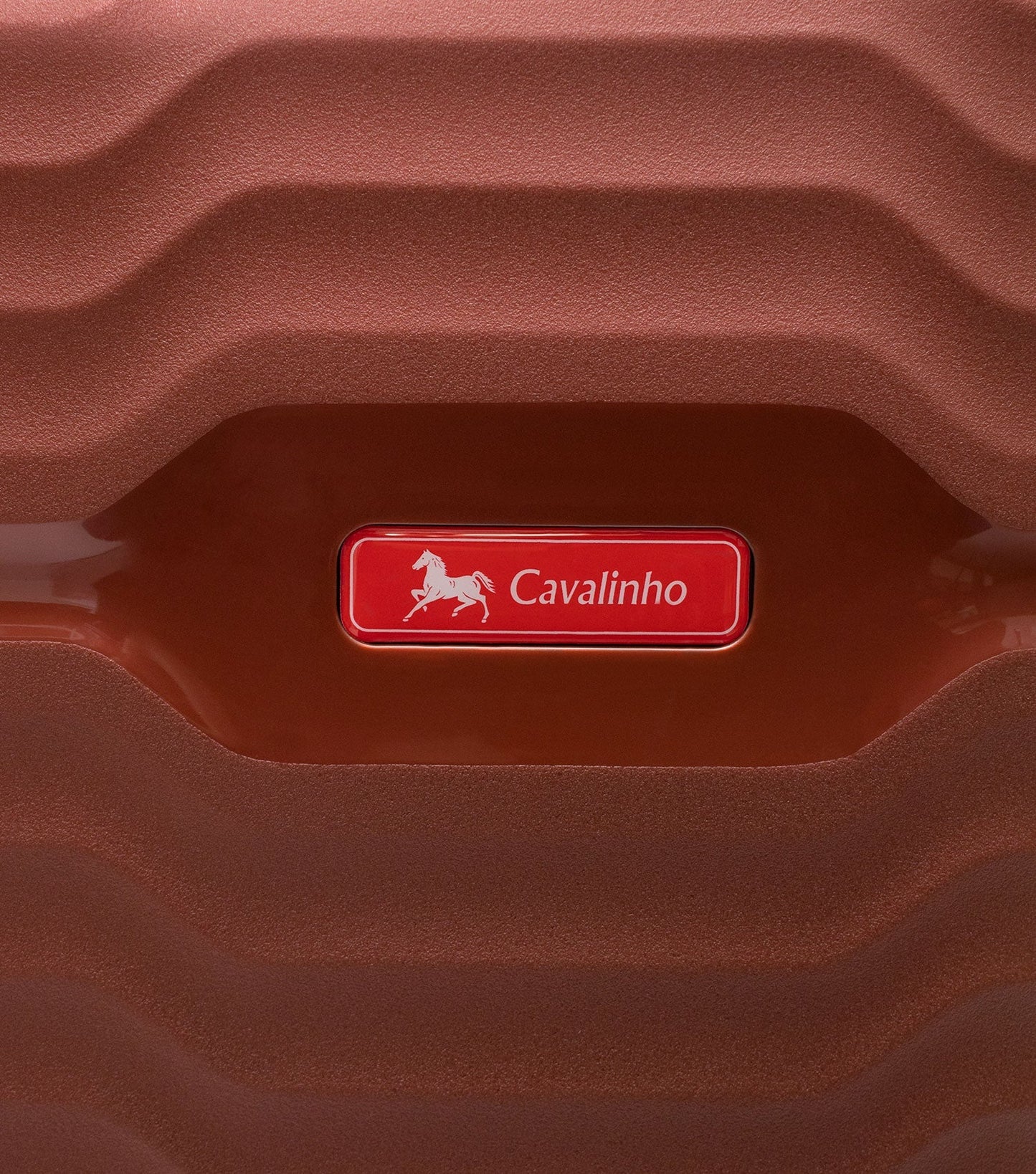 Check-in Hardside Luggage (24" or 28")