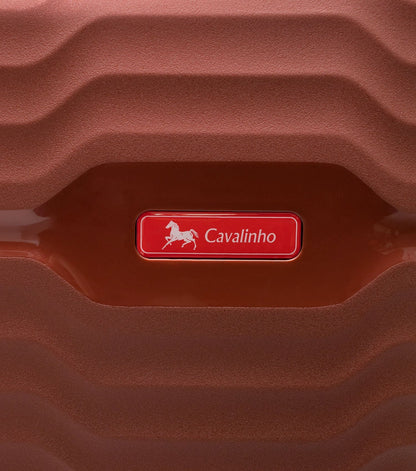 Check-in Hardside Luggage (24" or 28")