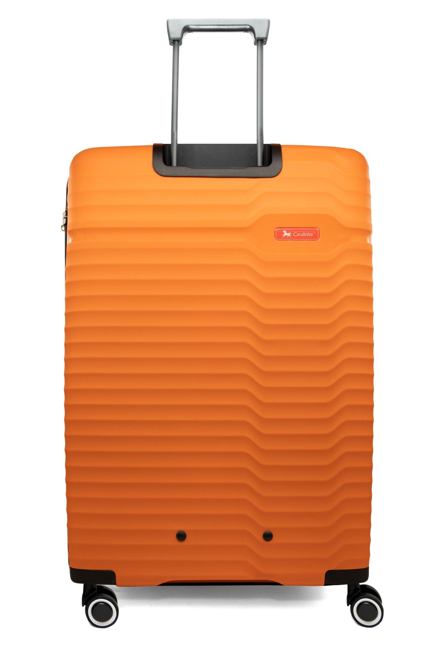 Check-in Hardside Luggage (24" or 28")