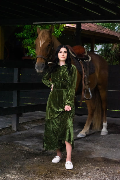 Michal Velvet Dress