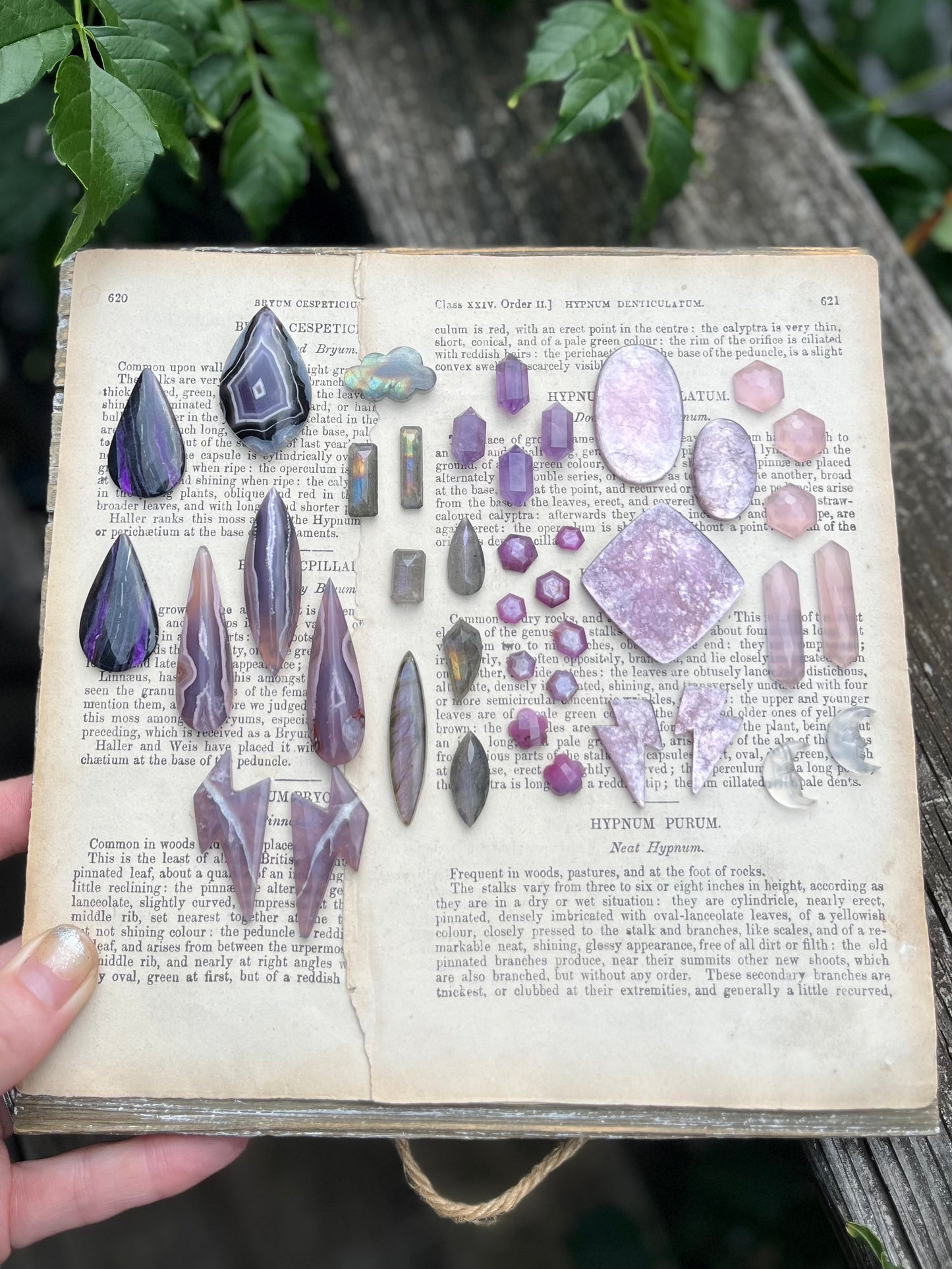 Purple Passion Sun Teardrop Necklace