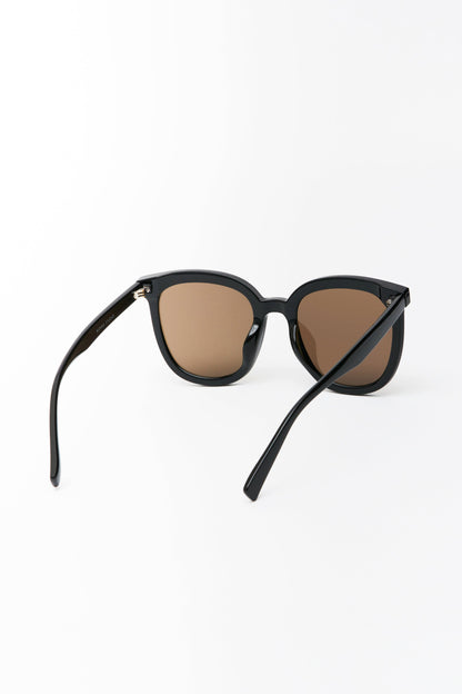 Hailey Large Rounded Sunglasses Black/Chai Lens