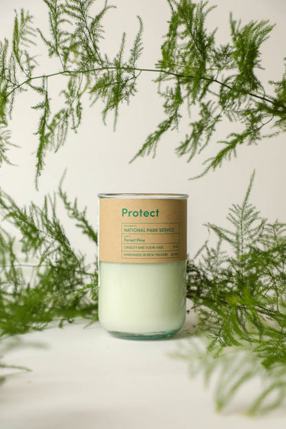Protect / Forest Pine Scent: Candles for Good