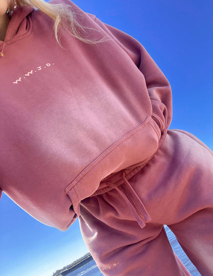 WWJD Pink Unisex Hoodie
