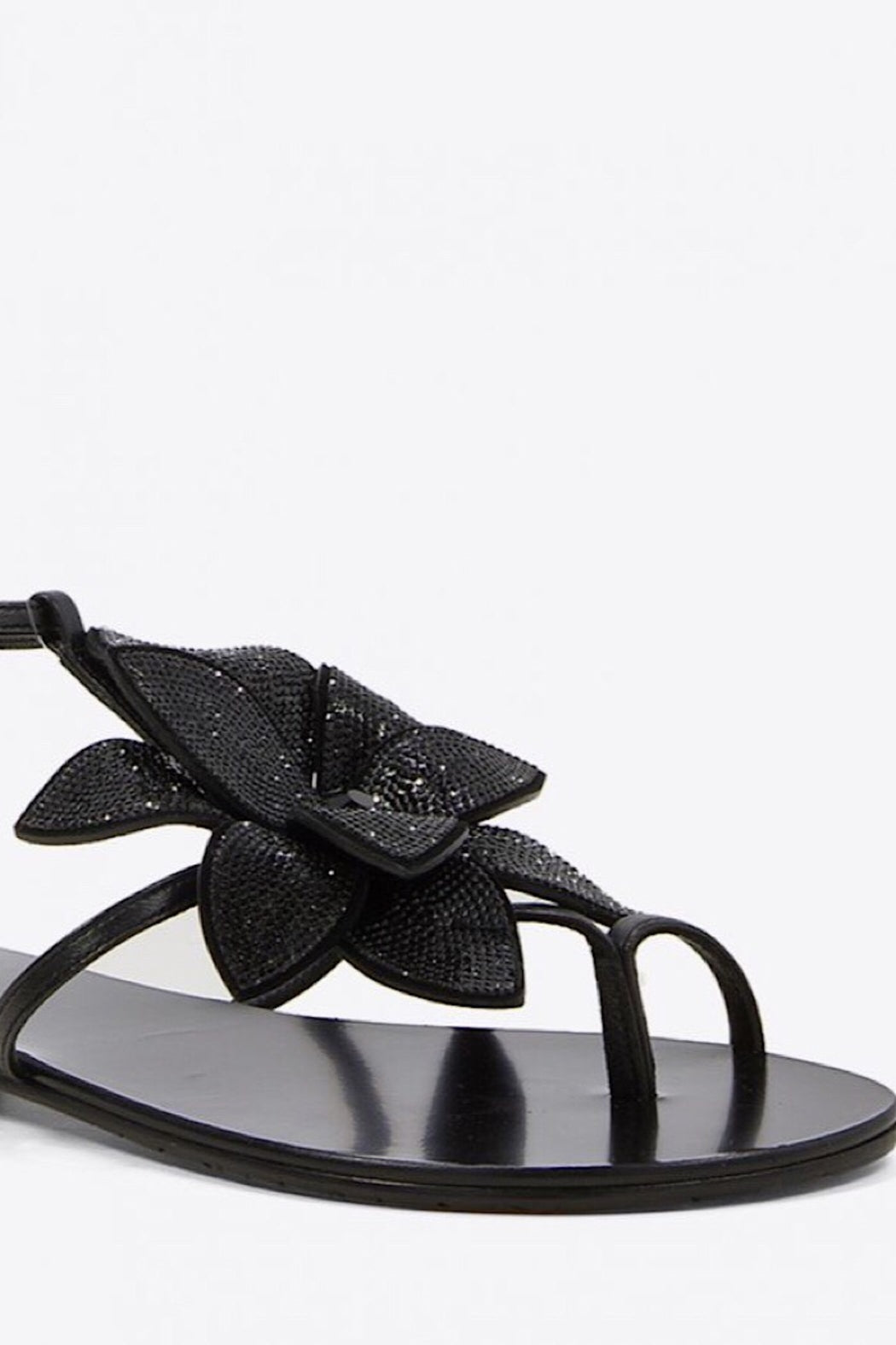 ALMA (038Z00BK)