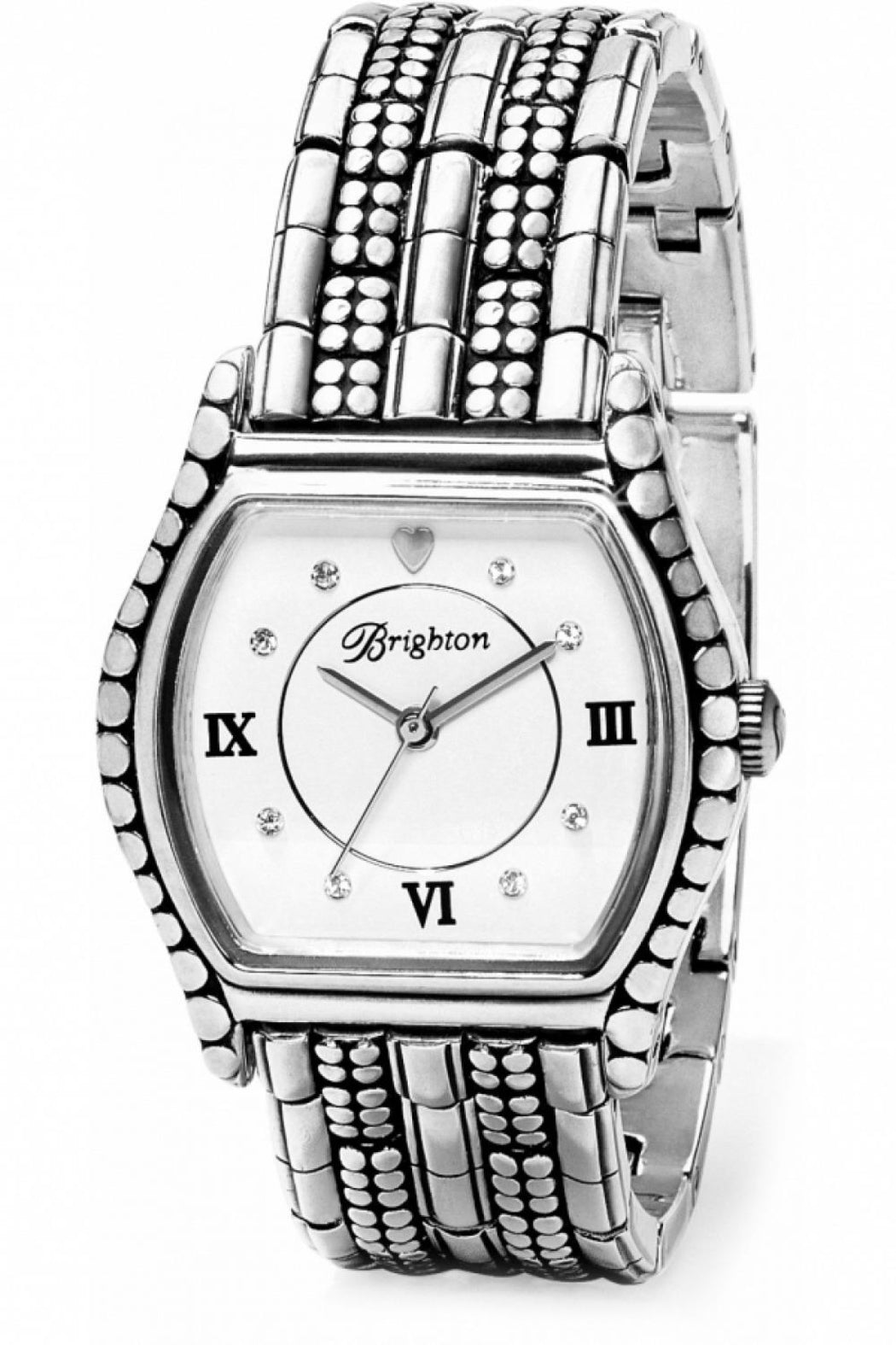 Berne Watch