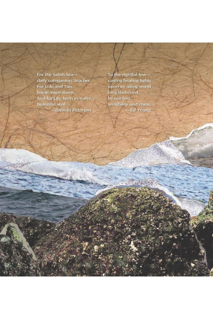 Catastrophe by the Sea