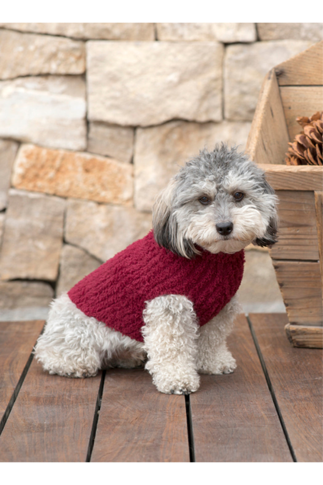 CC RIBBED PET SWEATER