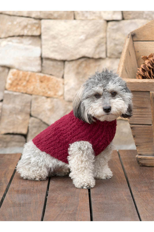 CC RIBBED PET SWEATER