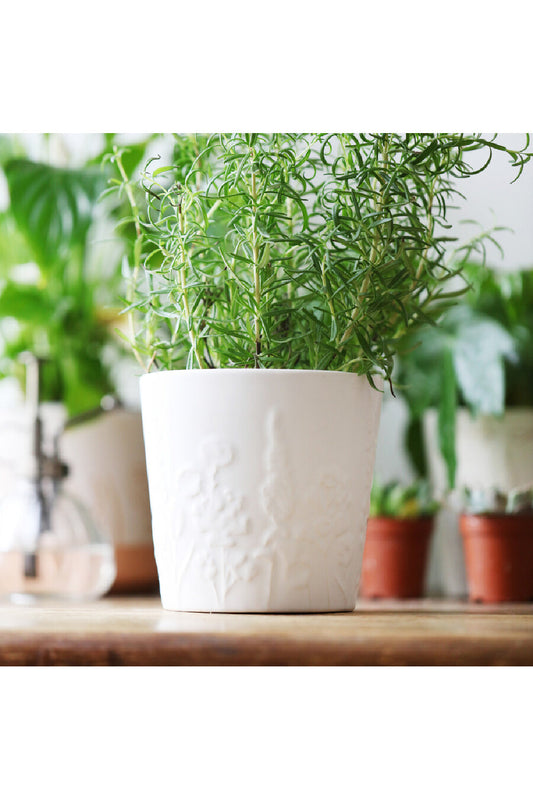 Ceramic Raised Wildflower Planter