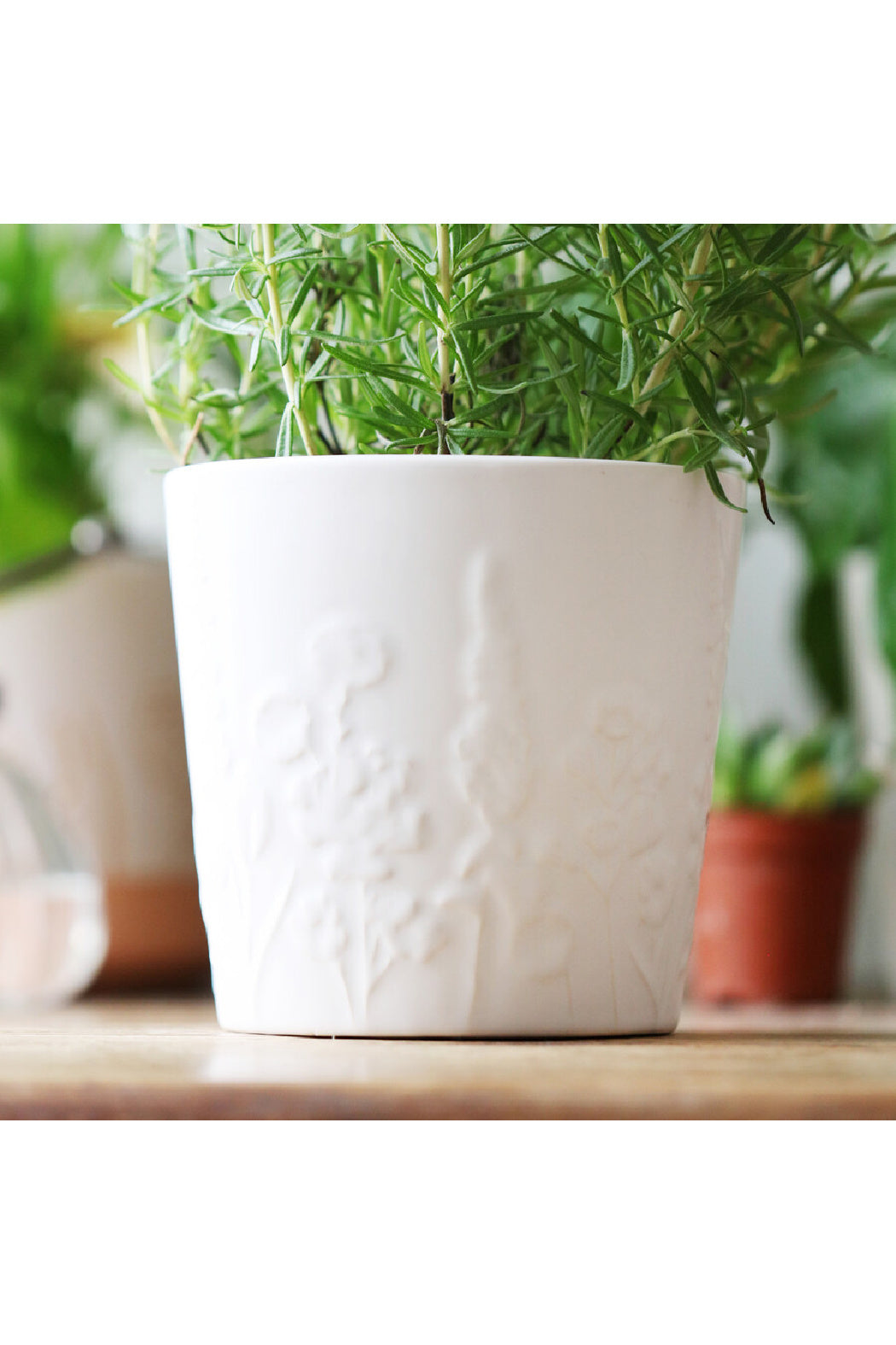 Ceramic Raised Wildflower Planter