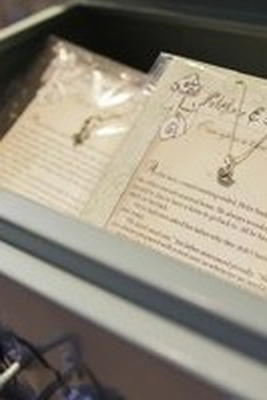 Chipmunk storybook necklace
