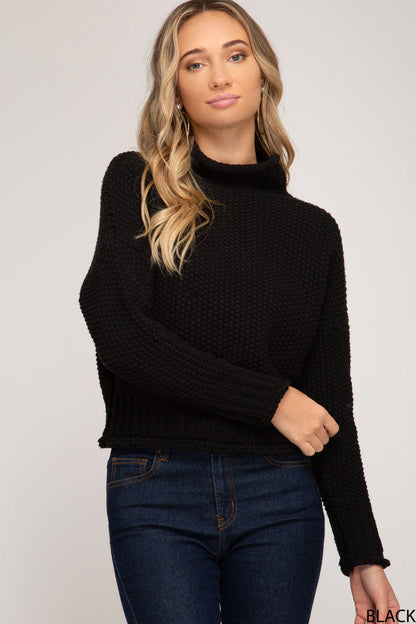 Chunky Turtleneck Sweater