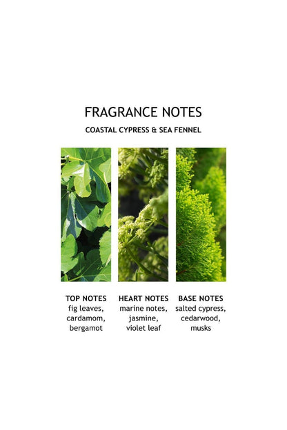 Coastal Cypress & Sea Fennel Hand Lotion