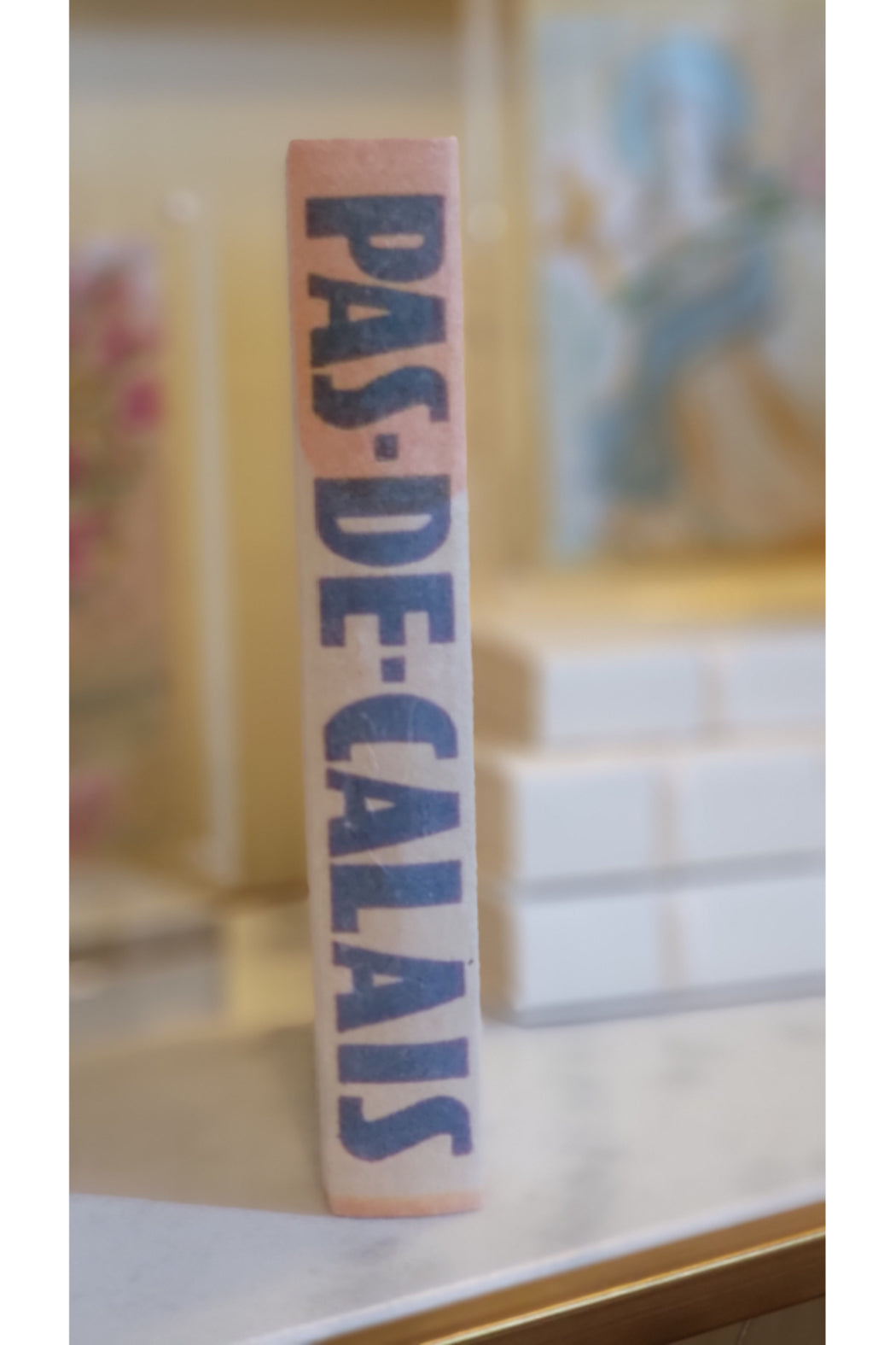 DECORATIVE BOOOKS (BLUE/WHITE)
