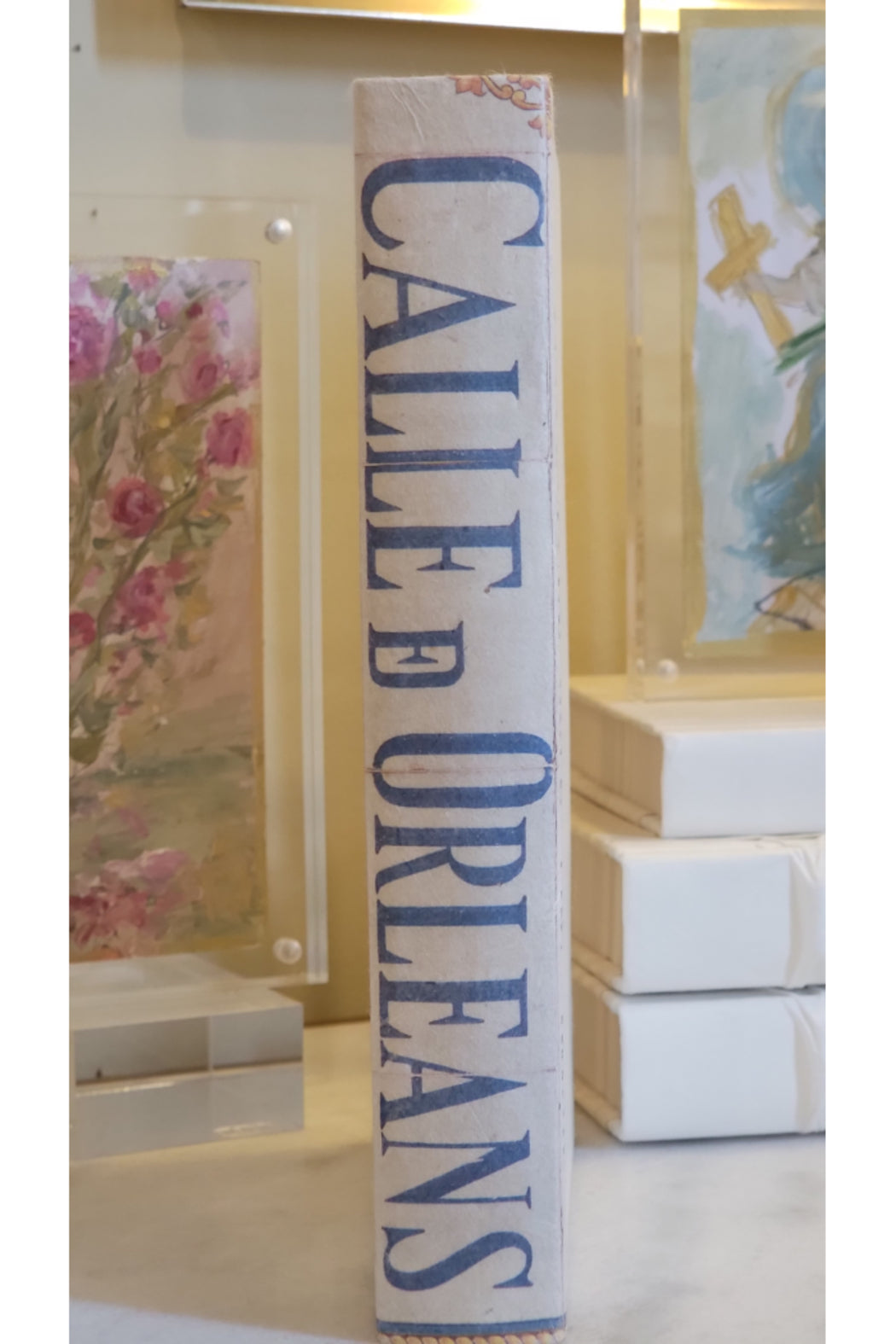 DECORATIVE BOOOKS (BLUE/WHITE)