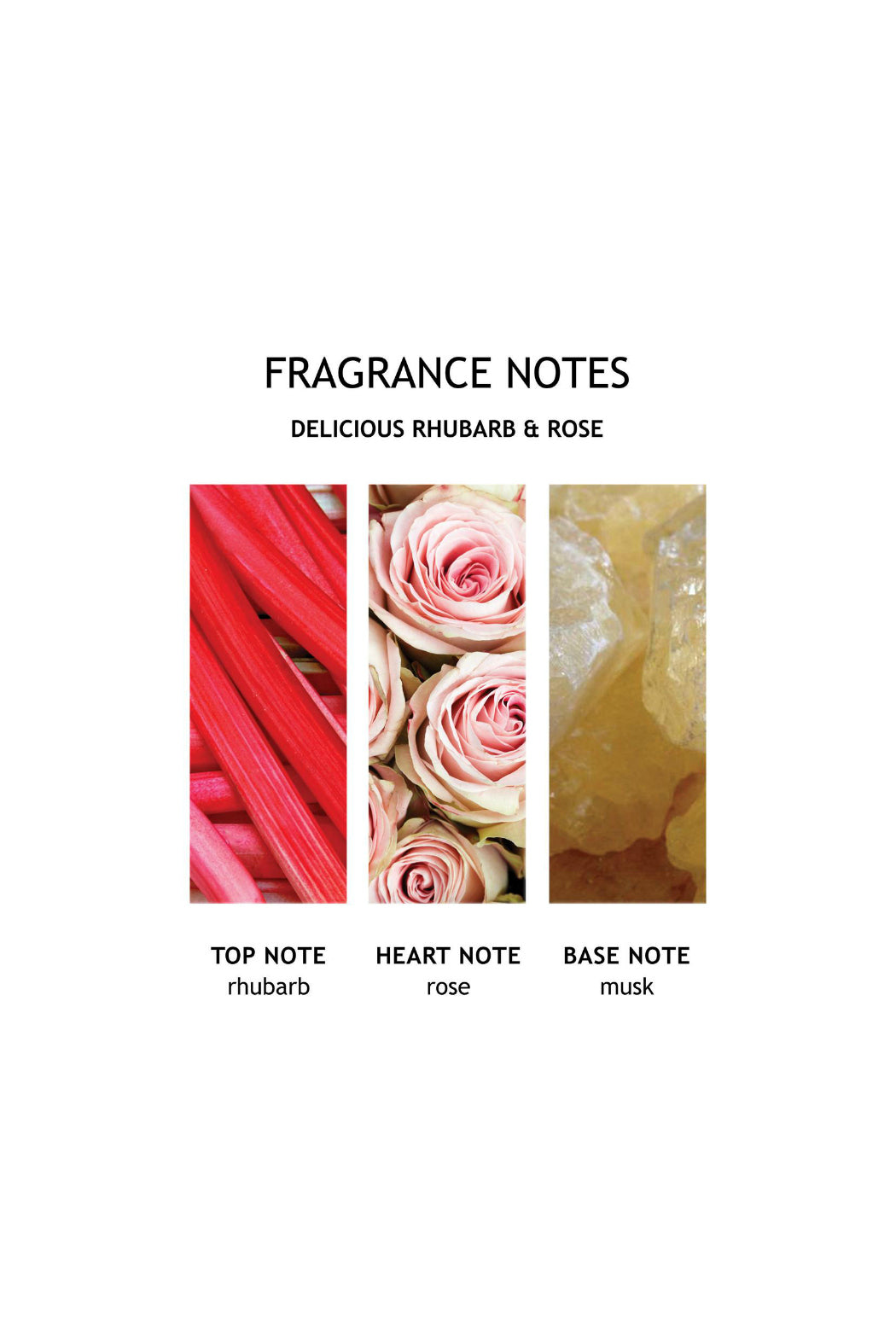 Delicious Rhubarb & Rose Fine Liquid Hand Wash