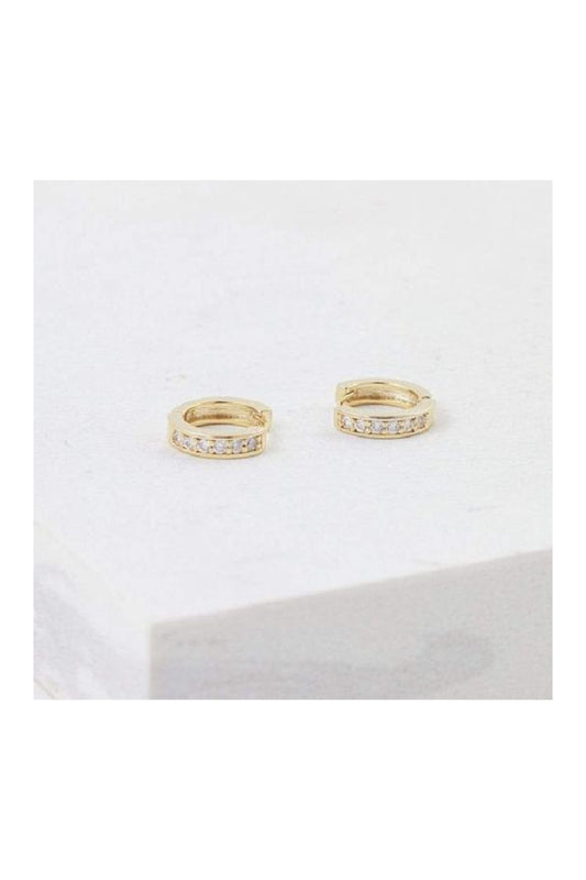 DESI HOOP EARRINGS